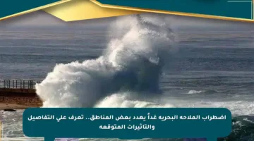 اضطراب الملاحة البحرية غداً يهدد بعض المناطق.. تعرف على التفاصيل والتأثيرات المتوقعة